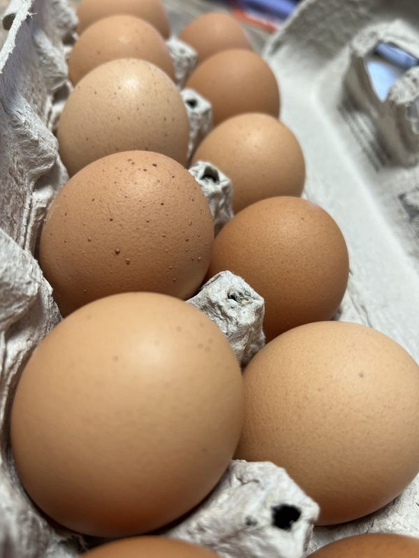 If you're going by the date stamped on the carton, it may refer to when the eggs were packed, not when they're best by. Nutritionists say as long as the egg hasn't gone "bad", there's no reason you can't still enjoy it.