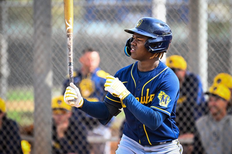 Milwaukee Brewers shortstop prospect Jesus Made prepares to hit during spring training on February 17, 2025, at American Family Fields of Phoenix in Phoenix, Arizona.