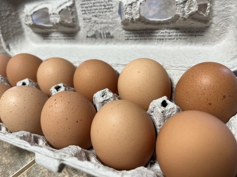 To help supplement the loss of table egg production in the U.S., Turkey, which is one of the world's largest exporters of eggs, is expected to export 15,000 tons of eggs to the U.S. through July.