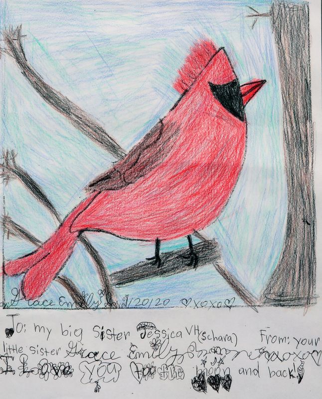This is a cardinal Grace Schara drew for her sister, Jessica Vander Heiden, in January 2020, when cardinals started popping into their lives after losing their brother, Travis Schara, to suicide.