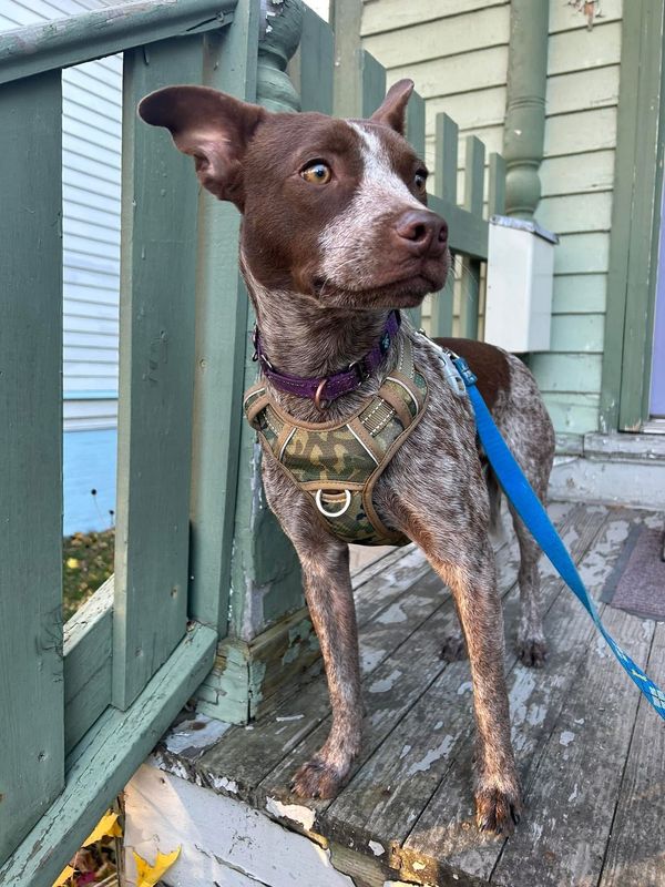 Marita, pictured here during her time in foster care with Sarah DeSmidt.