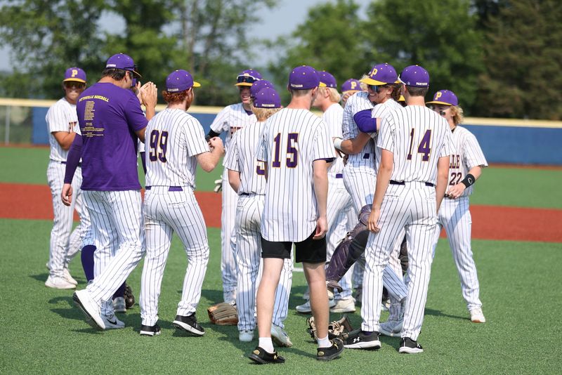 Pittsville baseball wins sectional final and clinches state tournament berth. (Photo/Pittsville high school).