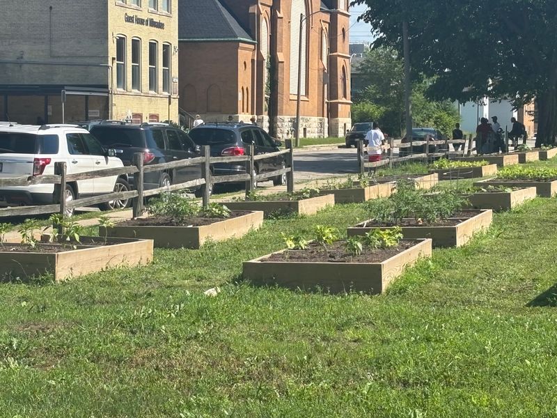 Milwaukee police are investigating the fatal battery of a 73-year-old in Guest House of Milwaukee's garden.