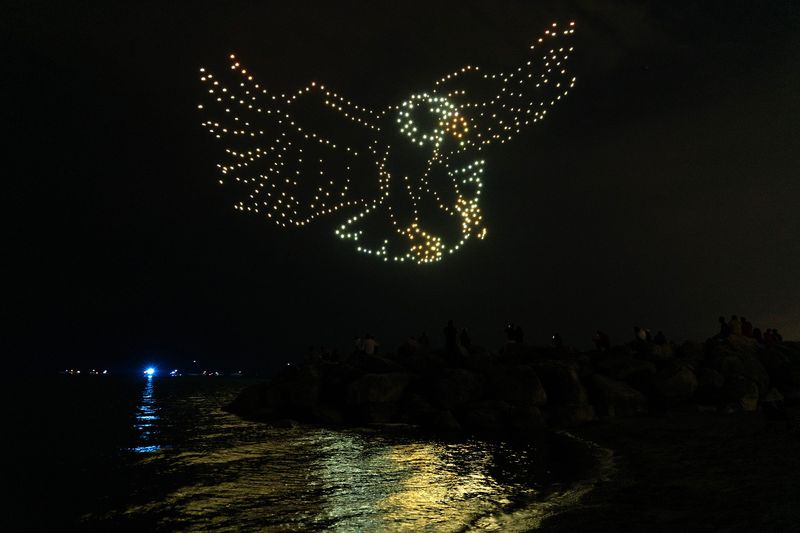 A bald eagle is seen during the Fourth of July Northern Lights Drone Show at McKinley Beach in Milwaukee on the evening of July 3, 2025.