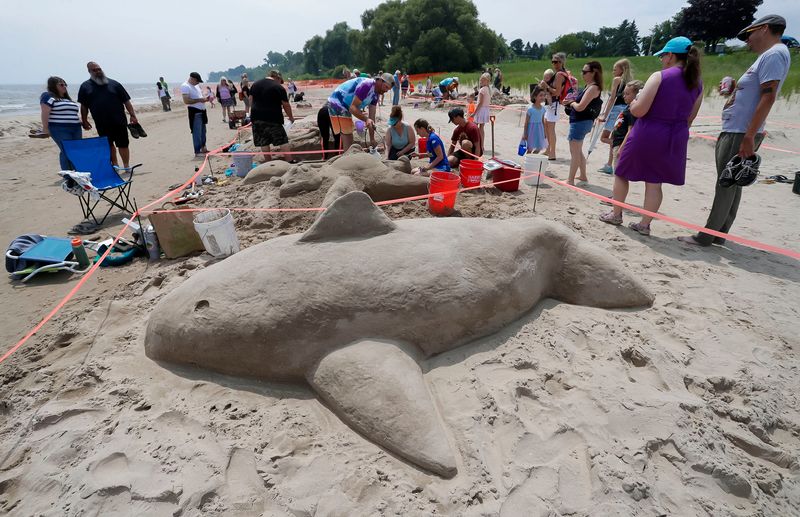 A dophin appears out of sand during the Wisconsin Sand Sculpting Festival at Red Arrow Park, Saturday, July 19, 2025, in Manitowoc, Wis.