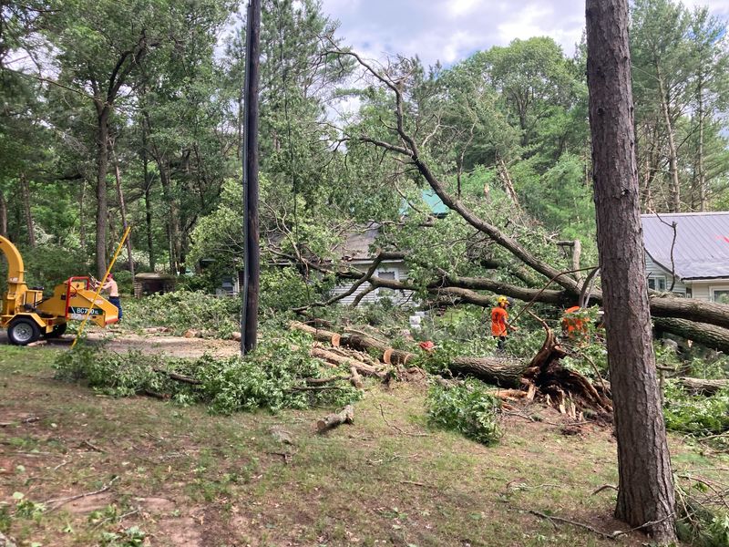 Trees and power lines in the town of Underhill fell following the July 23 storms in Oconto County.
