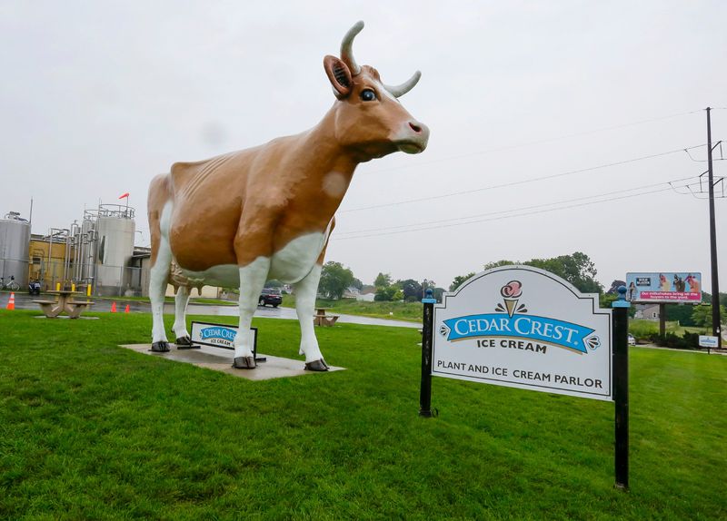 The iconic cow stands outside at Cedar Crest Ice Cream in Manitowoc, Wis., in this July 30, 2025, file photo.