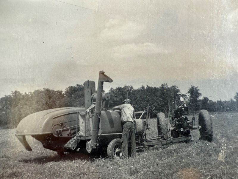 The Koepke family used their first combine during the harvest of 1953. While no photos of the rural Oconomowoc family's threshing machine back in the early day, the combine was an improvement, but not without problems. In this photo, Harvey Koepke is inspecting the grain tank contents, while Alan is on the tractor. This little rig pulled by a tractor, harvested oats, wheat, clover seed and even reed canary grass seed and was powered by it's own engine. The family says the only problem was if it ate too many weeds it took a while to cool off.