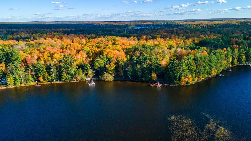 Fall colors cover the trees near Virgin Lake in the Three Lakes area in Oneida County, Wisconsin on Oct. 7, 2024.