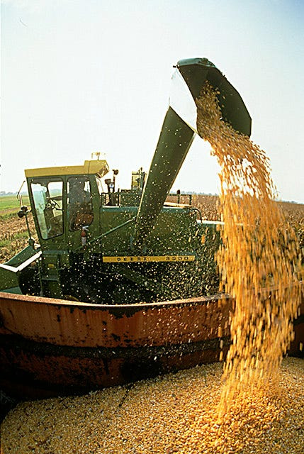 Corn production costs have roughly doubled since 2007, while the average farm price for corn in 2025 is expected to be lower than in 2007, creating a challenging economic environment for farmers.