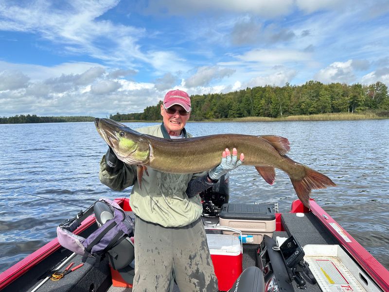 Carl Klein of Wausau holds a 47.75-inch-long muskellunge he caught and released in September while fishing on the Chippewa Flowage near Hayward. Anglers in more than 20 counties submitted resolutions at the spring hearings requesting the DNR change the northern zone musky opener to late May, the date it opened from 1984 to 2025.