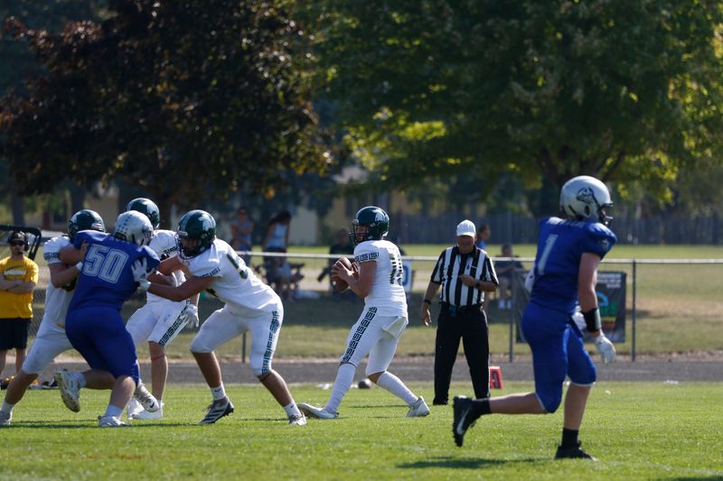 Laconia's Drake Nitz drops back to pass against Winnebago Lutheran at Winnebago Lutheran on Saturday, Oct. 4, 2025. Winnebago Lutheran beat Laconia 42-17.