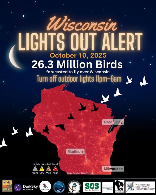 With a large flight of migratory birds expected after dark Oct. 10, 2025 in Wisconsin, bird advocates are recommending state residents turn off outdoor lights. Artificial lights can disorient migrating birds and lead to increased risks of collisions with buildings or other dangers.