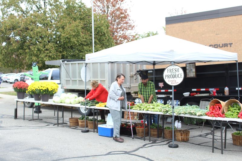 A shopper checking out some fresh vegetables from a vendor at the Brighton Farmers' Market in downtown Brighton on Saturday, Oct. 11, 2025.