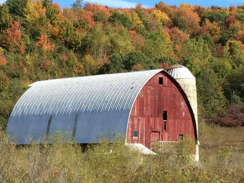 Despite the turmoil, dissension and much uncertainty, a nearly 50-year-old hymn reminds us of the power of gratitude.