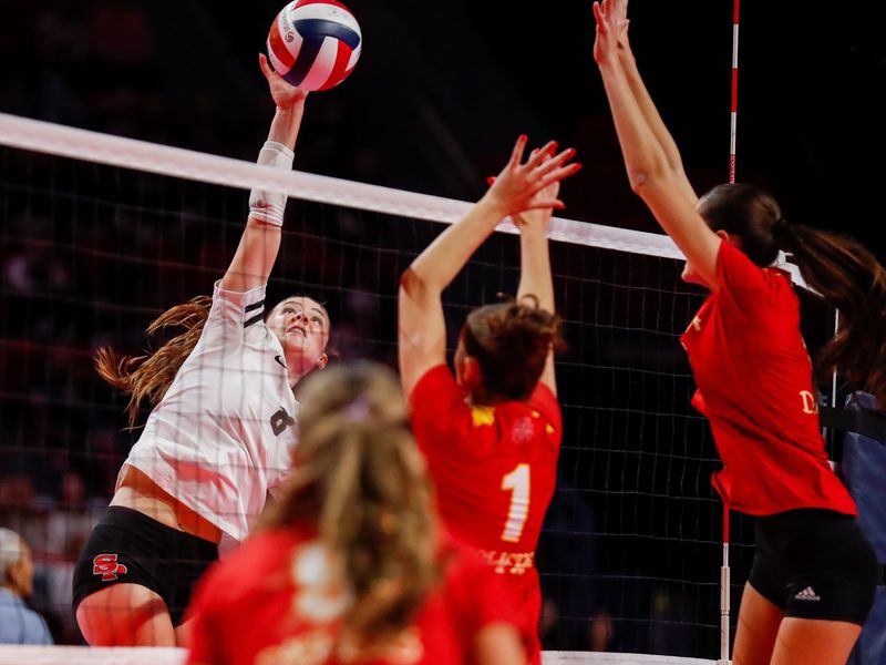SPASH's Karli Torhorst (8) spikes the ball against Divine Savior Holy Angels High School during the quarterfinal round of the WIAA Division 1 girls volleyball state tournament on Thursday, November 6, 2025, at the Resch Center in Ashwaubenon, Wis. DSHA won the match, 3-0.
Tork Mason/USA TODAY NETWORK-Wisconsin