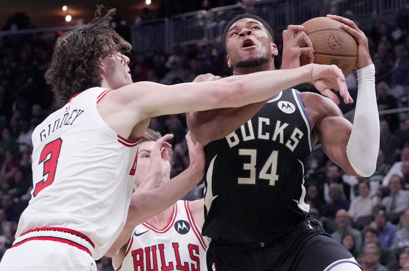 Bucks forward Giannis Antetokounmpo is fouled by Bulls guard Josh Giddey during the first half Nov. 7 at at Fiserv Forum.