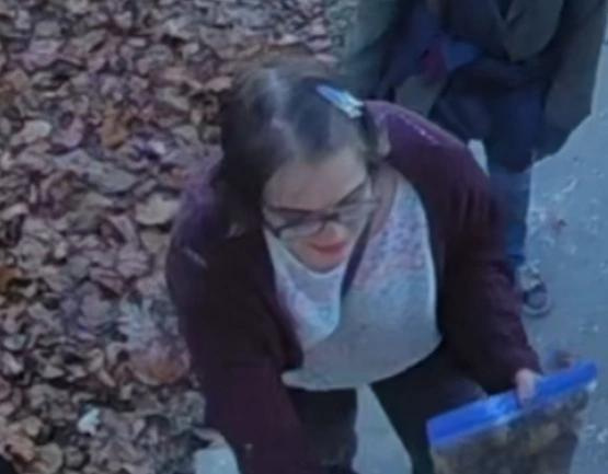 Madison police released this image of Morgan Geyser captured on security video in November 2025. The department was notified of her disappearance from a group home on Sunday morning, Nov. 23, and immediately alerted the public. Geyser was arrested late on November 23 in Illinois.