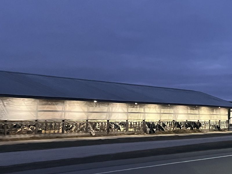 It's no secret that 2025 has been a struggle for both farmers and consumers. WI State Ag Secretary Randy Romanski weighs in on those challenges.