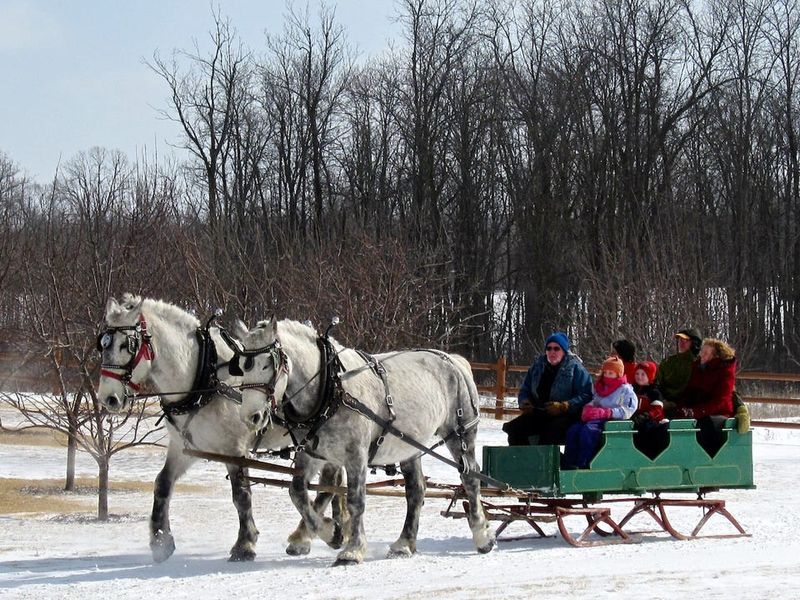 Wade House offers one-day sleigh rides on Feb. 14 with winter activities, museum access, and family-friendly pricing. Book ahead for best times.