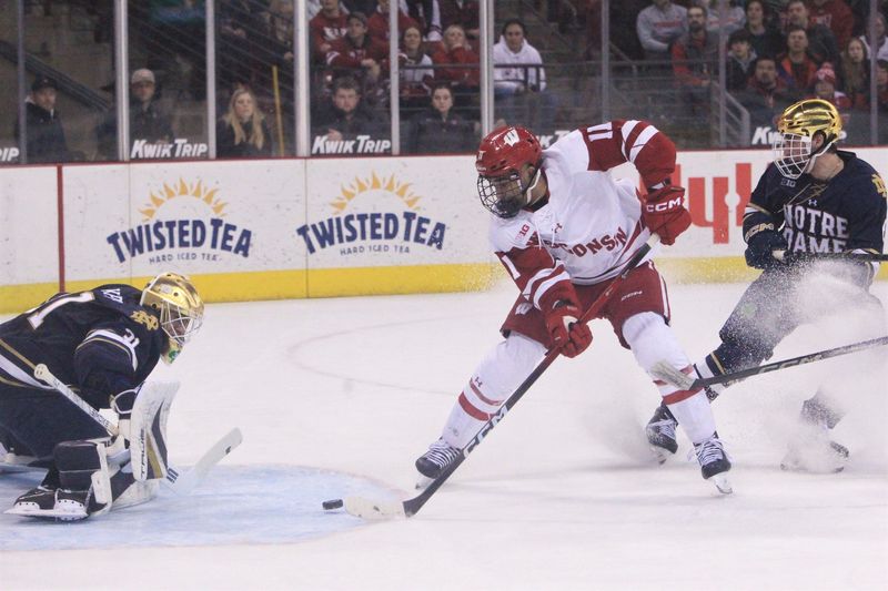 Wisconsin's Simon Tassy controls the puck as he prepares to take a shot against Notre Dame at the Kohl Center in Madison, Wis. on Friday Feb. 6, 2026.