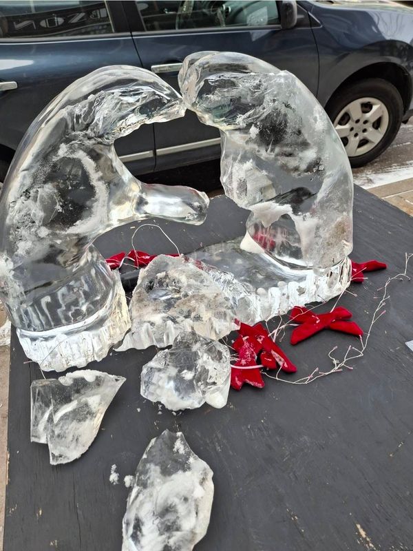 The Center for Suicide Awareness said its Avenue of Ice sculpture was vandalized on College Avenue Feb. 22.