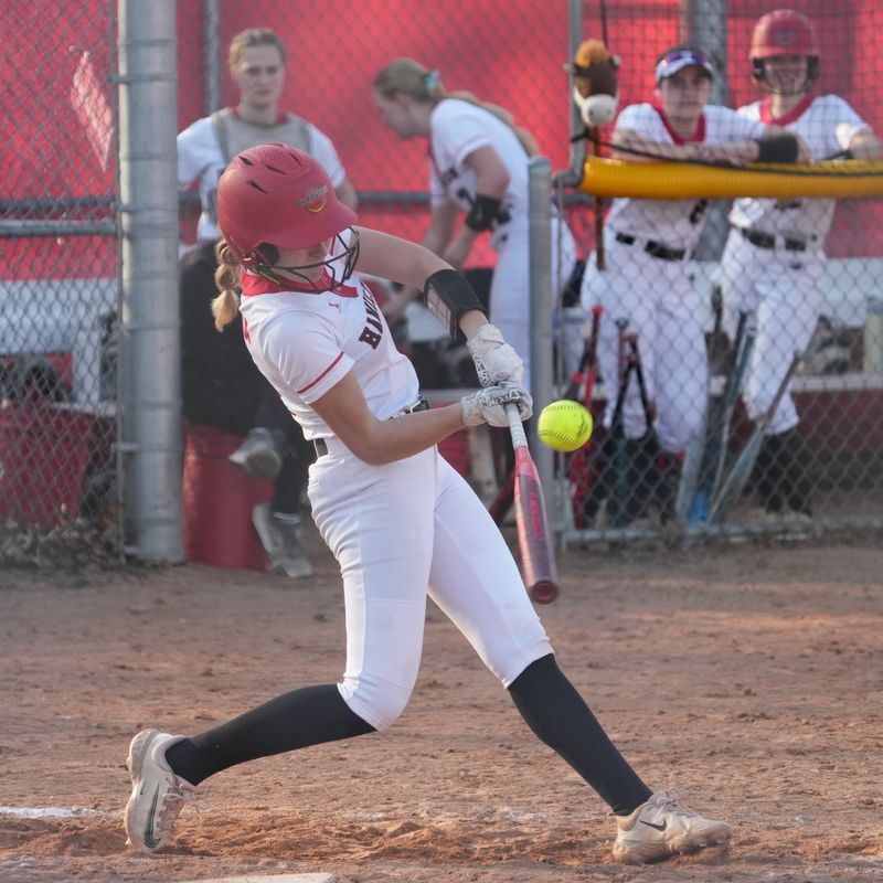Sussex Hamilton's Bitsy Palicka is not only a good hitter, she is one of the top pitchers in the state this season.