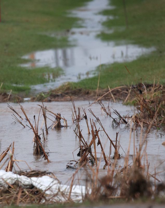 Thunderstorms and heavy overnight rain caused high water, closed roads and flood warnings in the Fox Cities on Tuesday, April 14, 2026 in the Village of Harrison, Wis. 
Wm. Glasheen USA TODAY NETWORK-Wisconsin