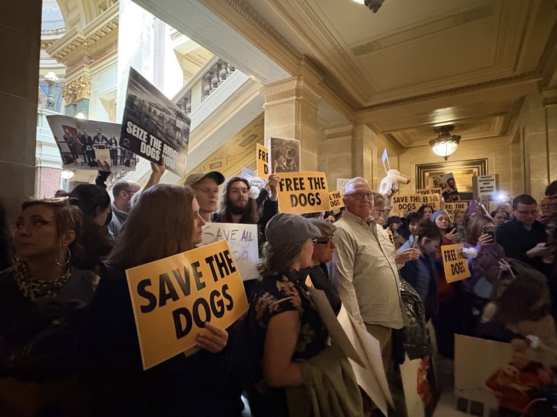 Protestors gather outside of Gov. Tony Evers' office on April 20, 2026, demanding to speak with the governor about the release of beagles from Ridglan Farms