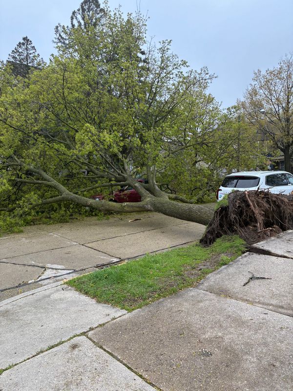 A car is under a fallen tree on South Herman Street in Bay View after high winds on April 27, 2026.