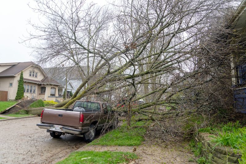 An uprooted tree lays on a truck owned by David Machado (not pictured) near his home along North Booth Street just north of East Locust Street after storms with heavy rain and high winds moved through Milwaukee on April 27, 2026.