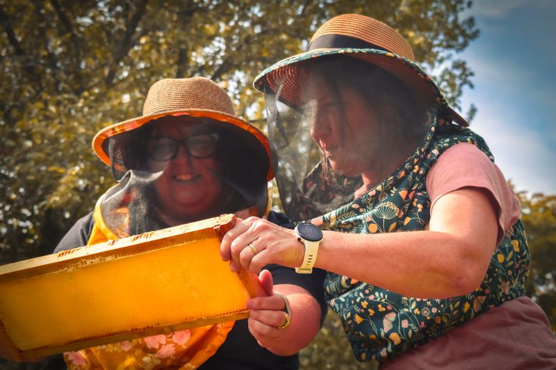Two Chicks Apiary owners and sisters, Jen Renfro and Sarah Mueller, inspect a honeycomb.