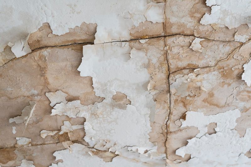 A water-damaged ceiling inside a home rented by Farina Brooks in Metcalfe Park on April 29, 2026, in Milwaukee, Wisconsin. Several maintenance issues remain unresolved by the landlord of the building.