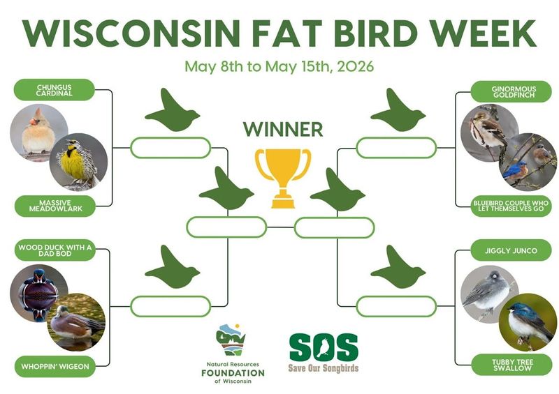 In the 2026 Wisconsin Fat Bird Week, eight bulky birds compete to be crowned winner.