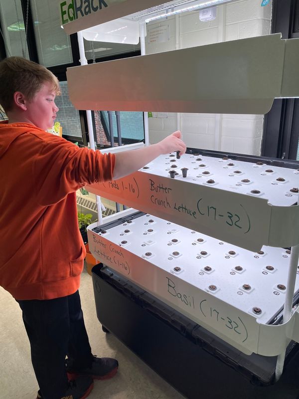 A student at Riverview Middle School, Kaukauna, plants seeds in the EdRack Hydroponic System.