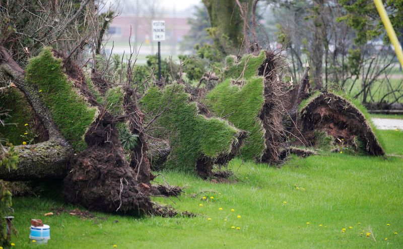 Trees were uprooted at a property north of Two Rivers High School as seen, Monday, May 18, 2026, in Two Rivers, Wis. Recovery efforts continued Monday in Two Rivers after a powerful storm Sunday, May 17, 2026 knocked out power, damaged trees and property.