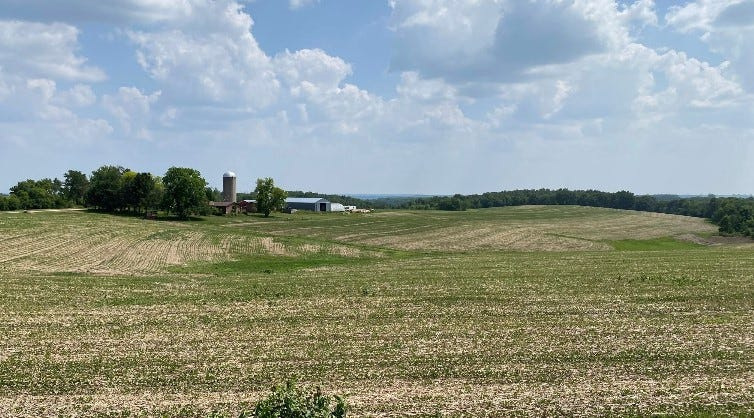 Corn and soybean fields dry out in hot, sunny conditions near Mt. Sterling, Wisconsin.