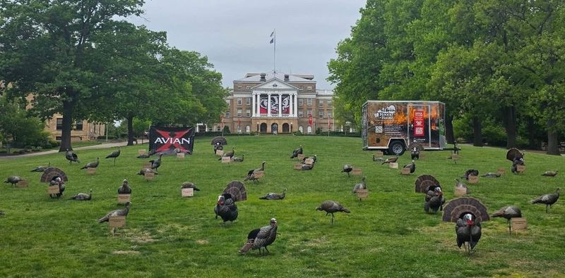 Wild turkey decoys and a National Wild Turkey Federation trailer are photographed May 17, 2026 on Bascom Hill on the UW-Madison campus. The gathering was a celebration of the 50th anniversary of the reintroduction of the wild turkey to Wisconsin.