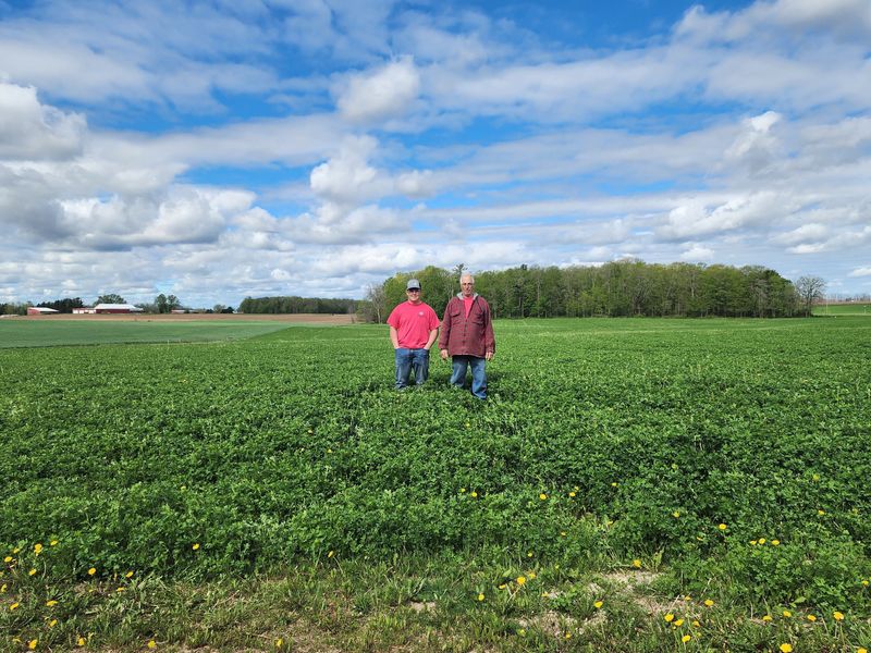 Tom Hochkammer stands with his grandson Gary in the vast alfalfa field owned by Hochkammer Dairy.