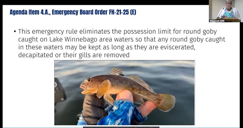 An emergency rule approved May 27, 2026 by the Natural Resources Board will allow anglers to possess round gobies on Lake Winnebago as long as steps have been taken to ensure the fish are dead.