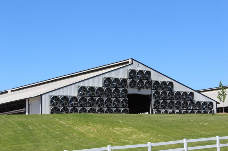 This wall of ventilation fans on one of the large freestall barns at Ebert Enterprises in Algoma, Wisconsin, keeps the cows inside cool, comfortable and free from heat stress.