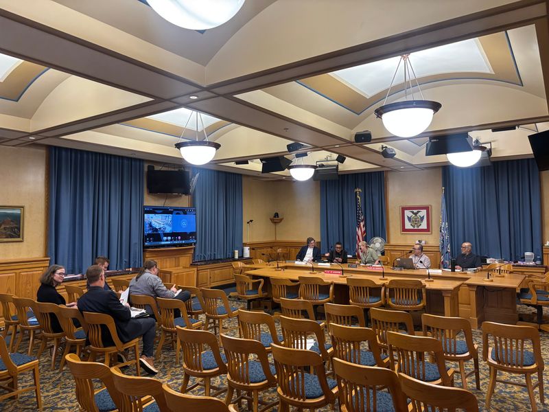 The city's Zoning Code Technical Committee passed a proposed rule to ban large data centers and limit smaller data centers in a six-minute meeting on June 15.