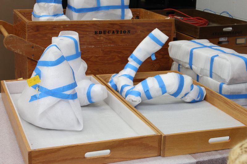 These large artifacts have been packed by collection move technicians before they are moved to the Nature and Culture Museum.