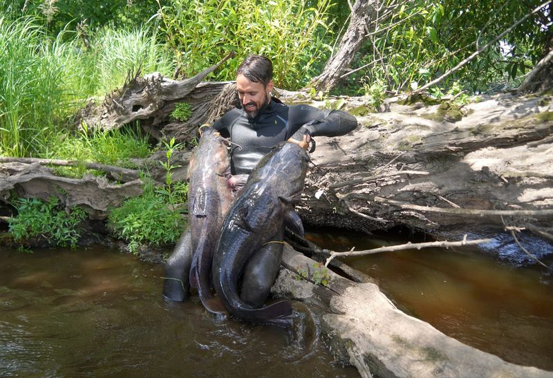 Dr. Nick Anderson of Neenah holds two flathead catfish he noodled, or caught by hand, June 29, 2026 on a Wisconsin river. Noodling for catfish and bullhead species became legal in 2020 in Wisconsin. Anderson, a pediatrician, learned to noodle while in Texas for a medical residency.