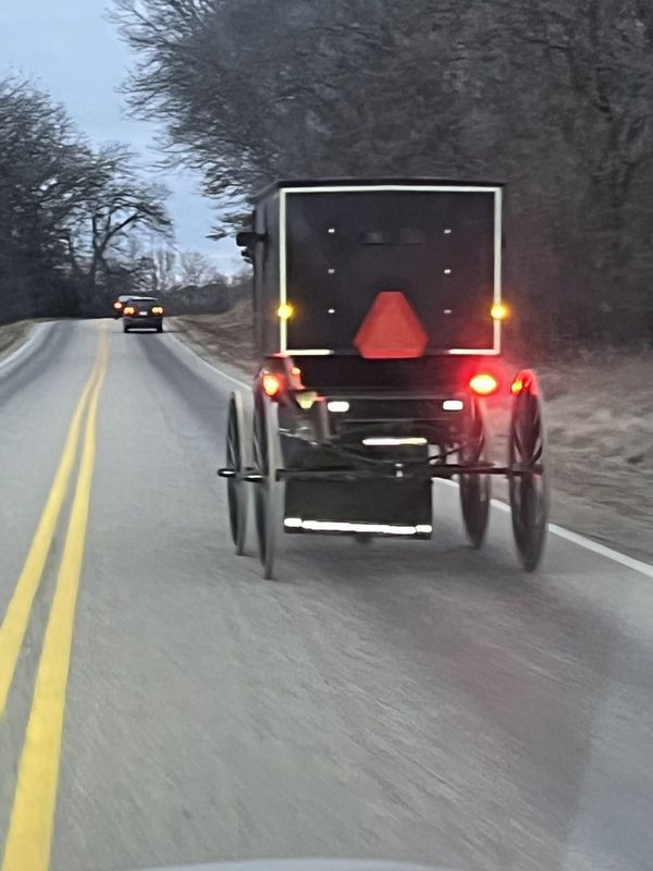 This Amish buggy traveling down a county road near Dalton, Wisconsin, is equipped with many safety features that include lighting, reflective tape and an SMV emblem.