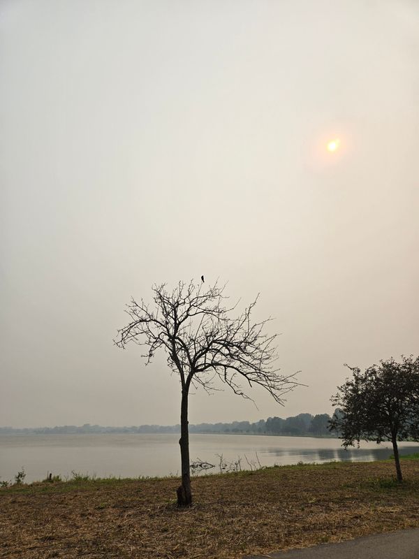 The sun is hiding behind haze from the Canada wildfire smoke, as seen near Lake Winnebago in Oshkosh, Wis., on July 15, 2026.