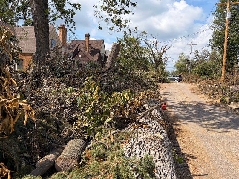 Tree trunks and limbs fill the right of way in the 400 block of 11th Street in Neenah on Aug. 1 as the cleanup from the July 27 tornado continues.