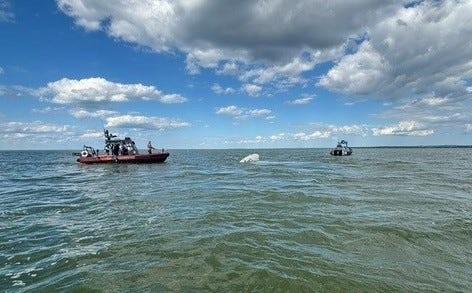 An 81-year-old man was safely rescued after his sailboat capsized in the Bay of Green Bay.